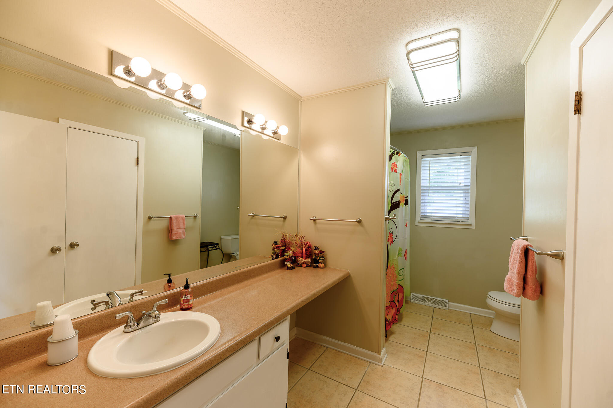 1675 Malone Road Loudon, TN 37774 - Photo 21 of 48 Hall Bathroom