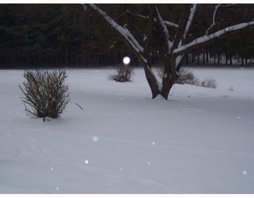 105 White Road Avonmore, PA 15618 - Photo 2 of 3 Yard/Garden.