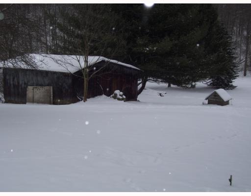 105 White Road Avonmore, PA 15618 - Photo 3 of 3 Land.
