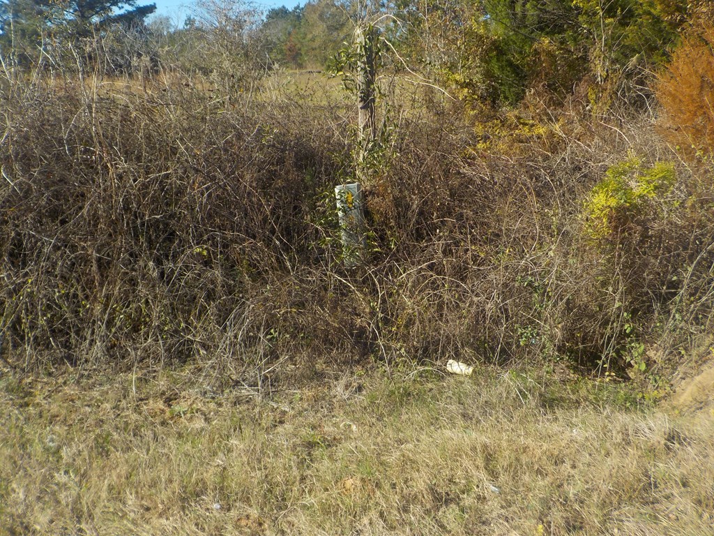 6904 South Cty Road Cottonwood, AL 36320 - Photo 8 of 23