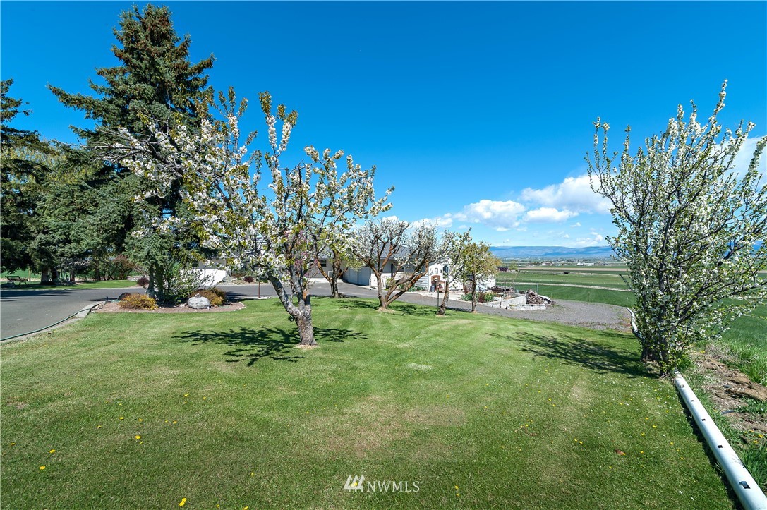 6121 Thrall Road Ellensburg, WA 98926 - Photo 8 of 37 Gallery Image 8