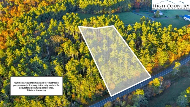 a view of a yard with large trees