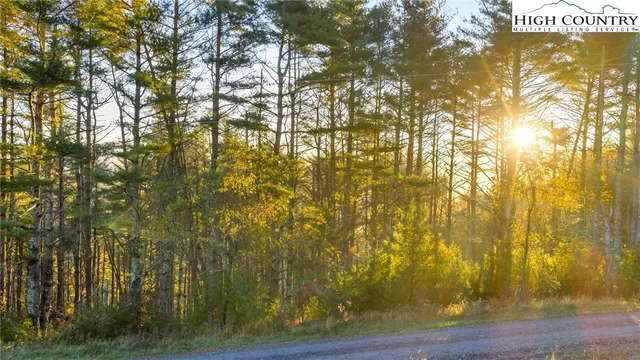 a view of a swimming pool with a yard