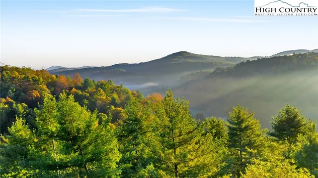 a view of a pathway with a yard