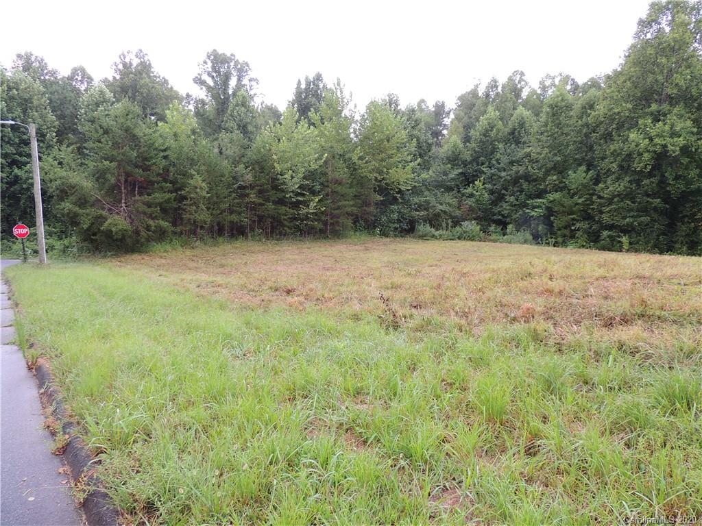 Lot # Ridgeview Drive Rutherfordton, NC 28139 - Photo 4 of 5