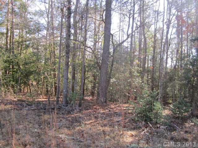 2 Phillipstown Road Kershaw, SC 29067 - Photo 2 of 3 a view of outdoor space and green space