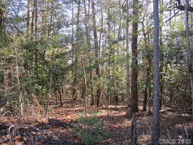2 Phillipstown Road Kershaw, SC 29067 - Photo 3 of 3 a view of a forest with trees in the background