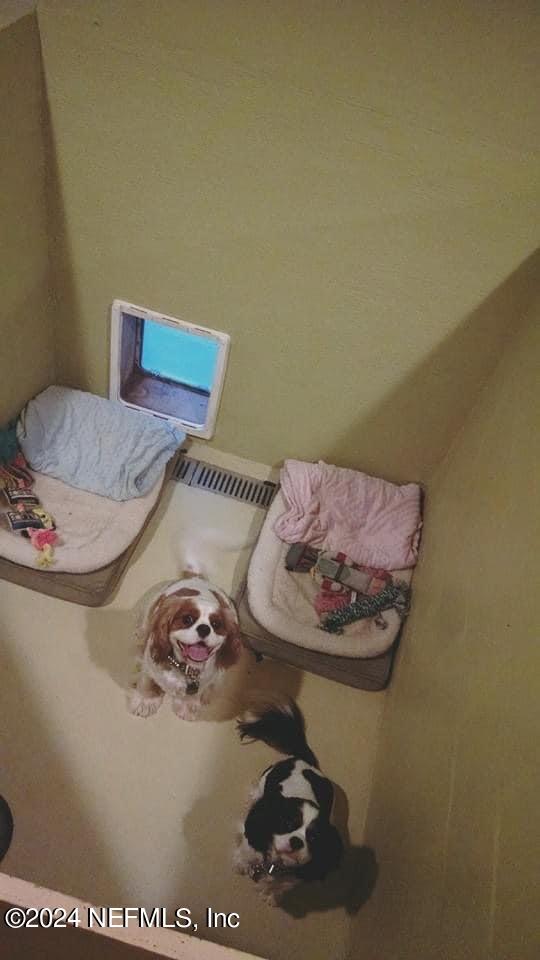 7759 Plummer Road Jacksonville, FL 32219 - Photo 46 of 55 pets