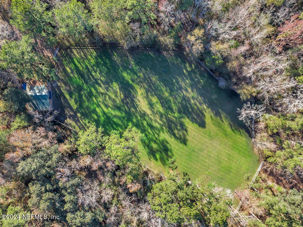 7759 Plummer Road Jacksonville, FL 32219 - Photo 50 of 55 7759 Plummer Rd Green Grass-8