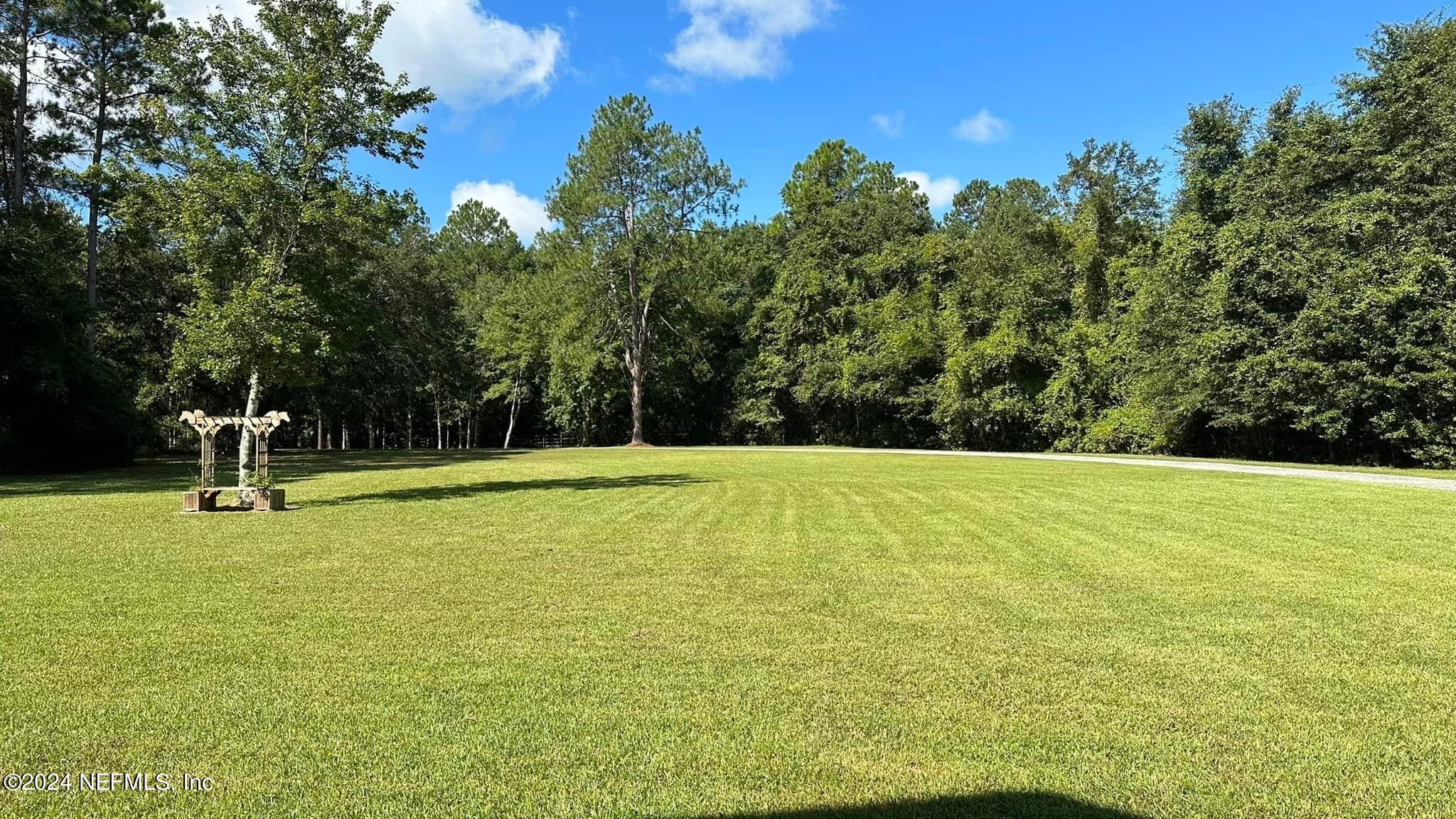 7759 Plummer Road Jacksonville, FL 32219 - Photo 5 of 55 front yard