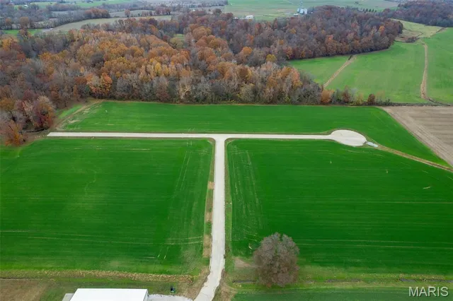 $95,000 | 225 Ervin L Dumey Drive, Benton, MO 63736