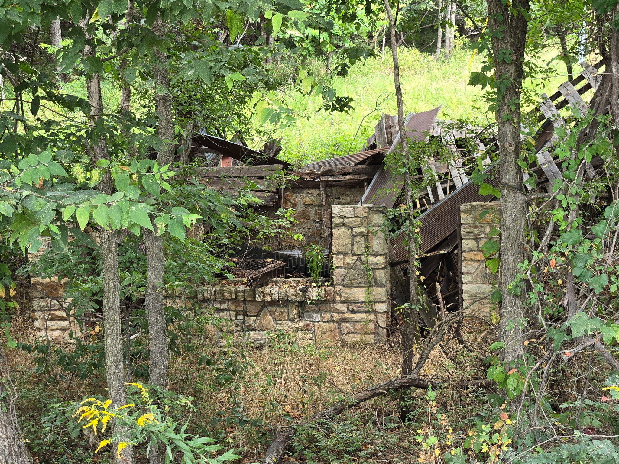 0 Hico Road Long Lane, MO 65590 - Photo 15 of 15 1000013911