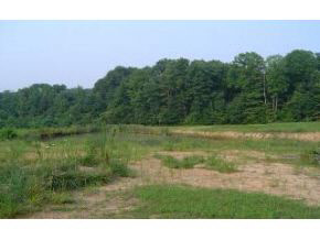 838 Coon Path Road Spencer, IN 47460 - Photo 5 of 6
