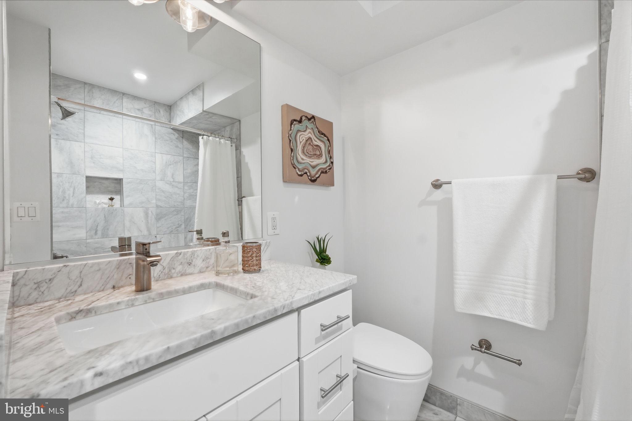401 11th Street Southeast Washington, DC 20003 - Photo 26 of 38 Third full bathroom in the lower level