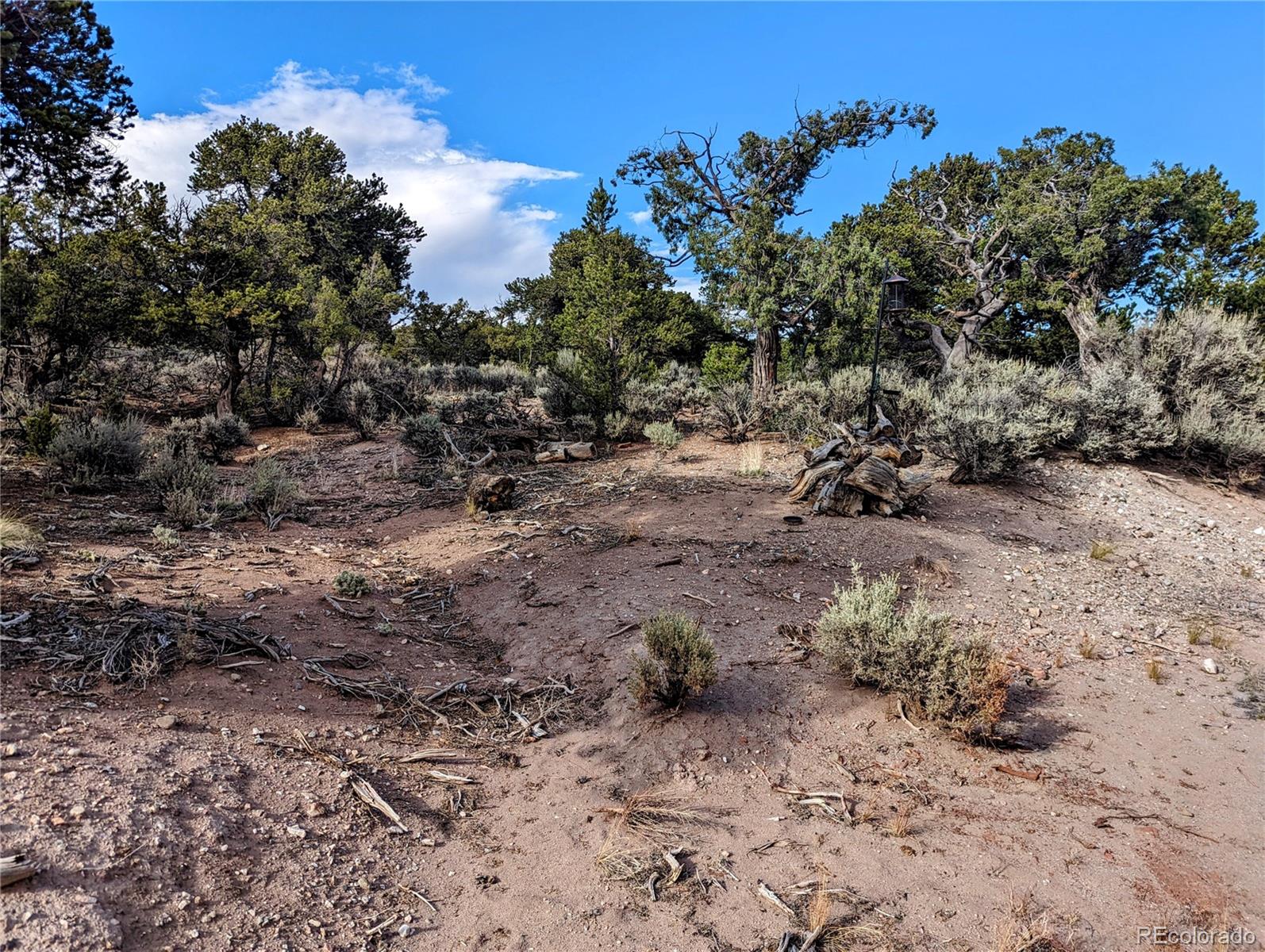 7023 Frelinghuysen Road Fort Garland, CO 81133 - Photo 17 of 20 Gallery Image 17