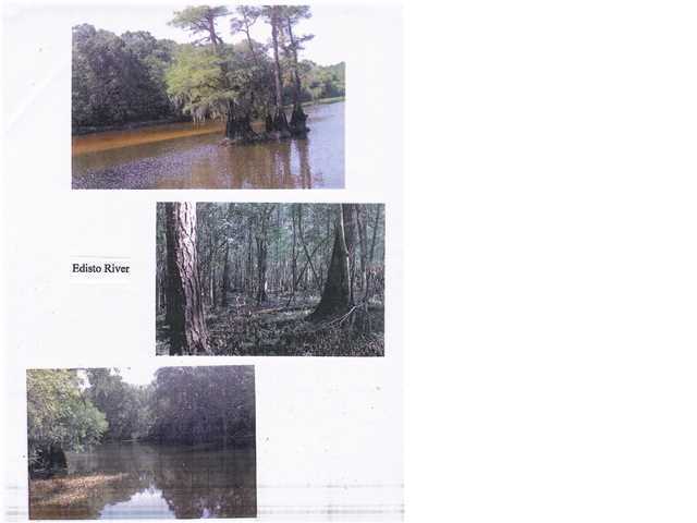 0 Hidden Cove Road Ridgeville, SC 29472 - Photo 1 of 4 Primary Photo