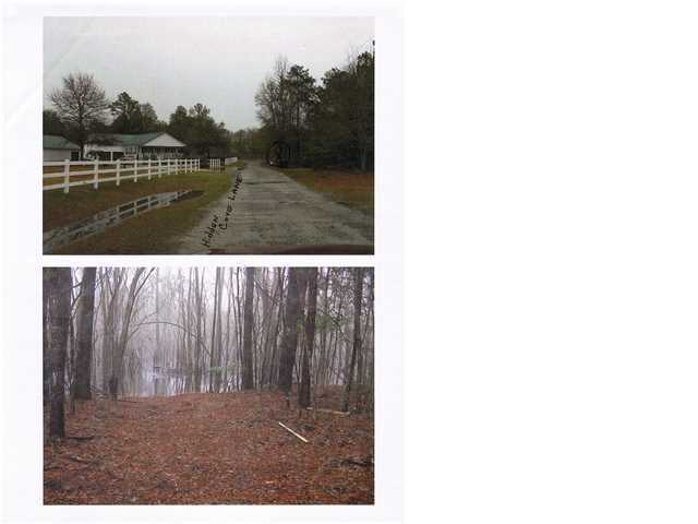 0 Hidden Cove Road Ridgeville, SC 29472 - Photo 2 of 4 Additional Photo