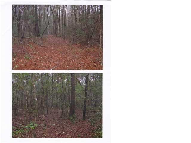 0 Hidden Cove Road Ridgeville, SC 29472 - Photo 3 of 4 Additional Photo