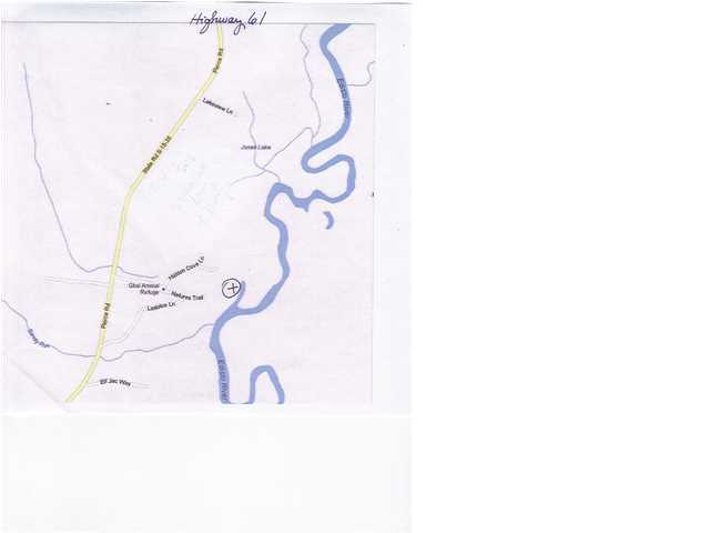 0 Hidden Cove Road Ridgeville, SC 29472 - Photo 4 of 4 Additional Photo
