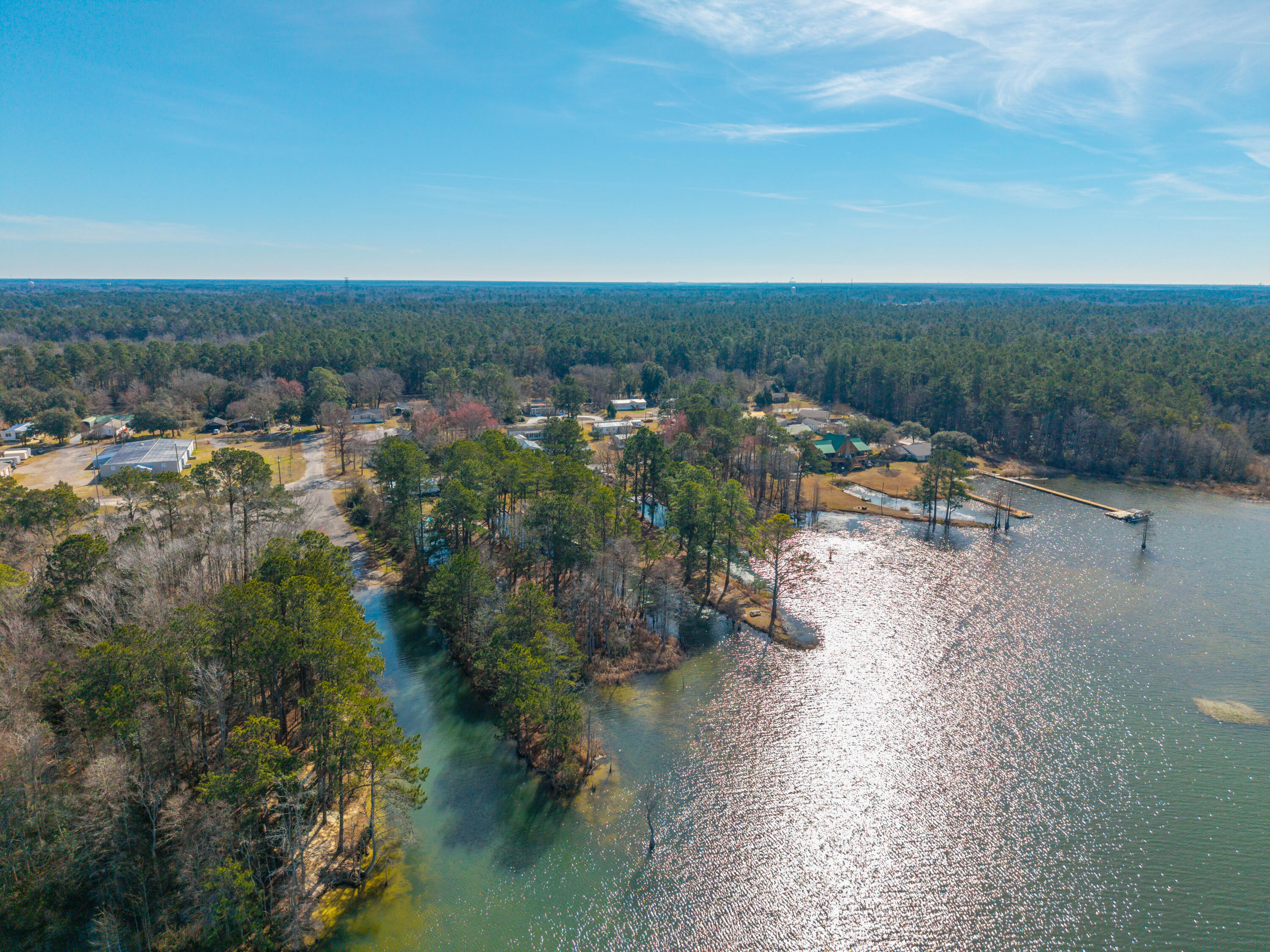 627 Lakeside Drive Moncks Corner, SC 29461 - Photo 11 of 22 DJI_20260129114003_0032_D