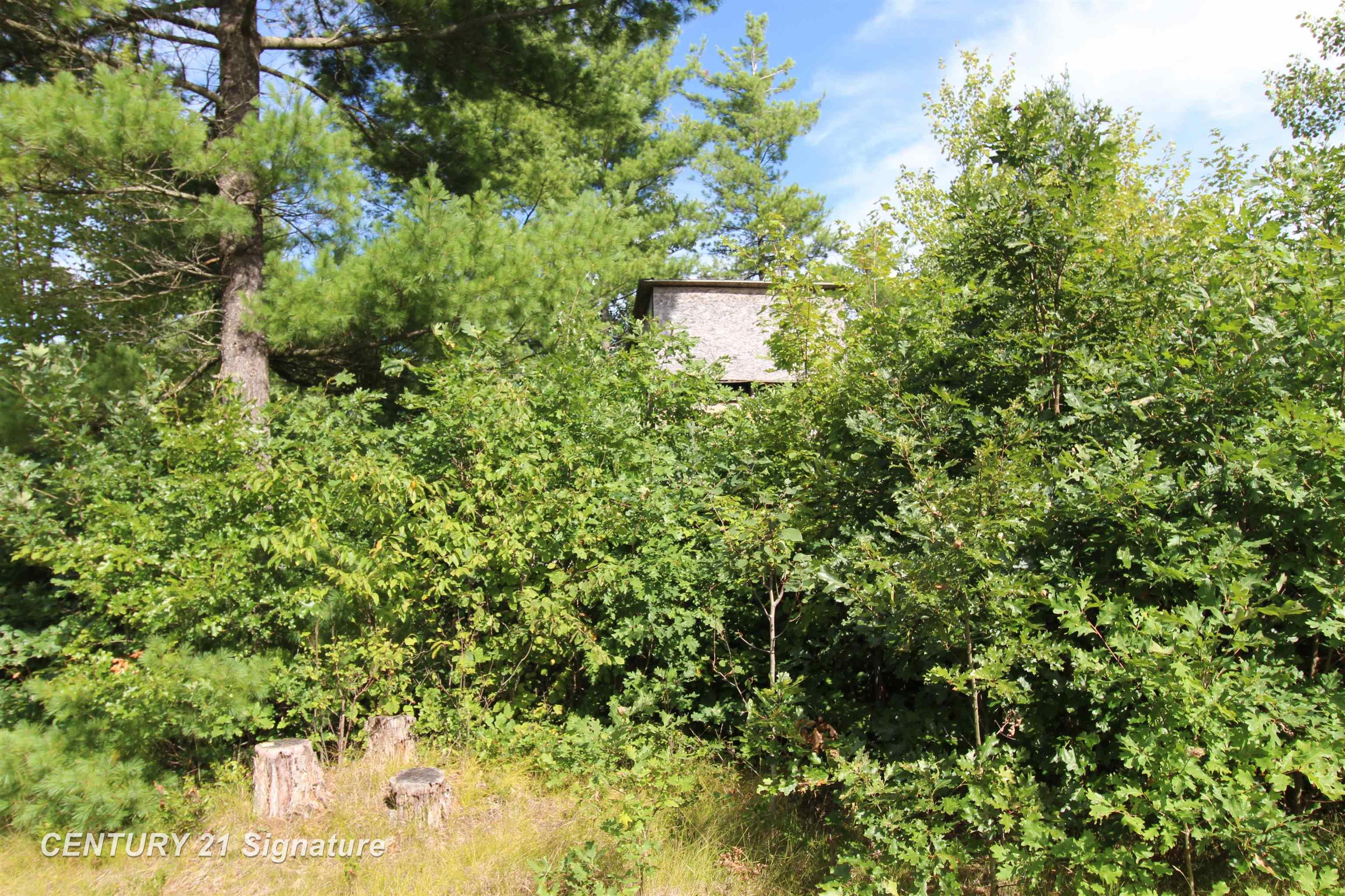 6595 Wickert Road Hale, MI 48739 - Photo 21 of 23 50221795-4e40ecde-2672-40a4-a2d5-4c20816d0bf8.JPG