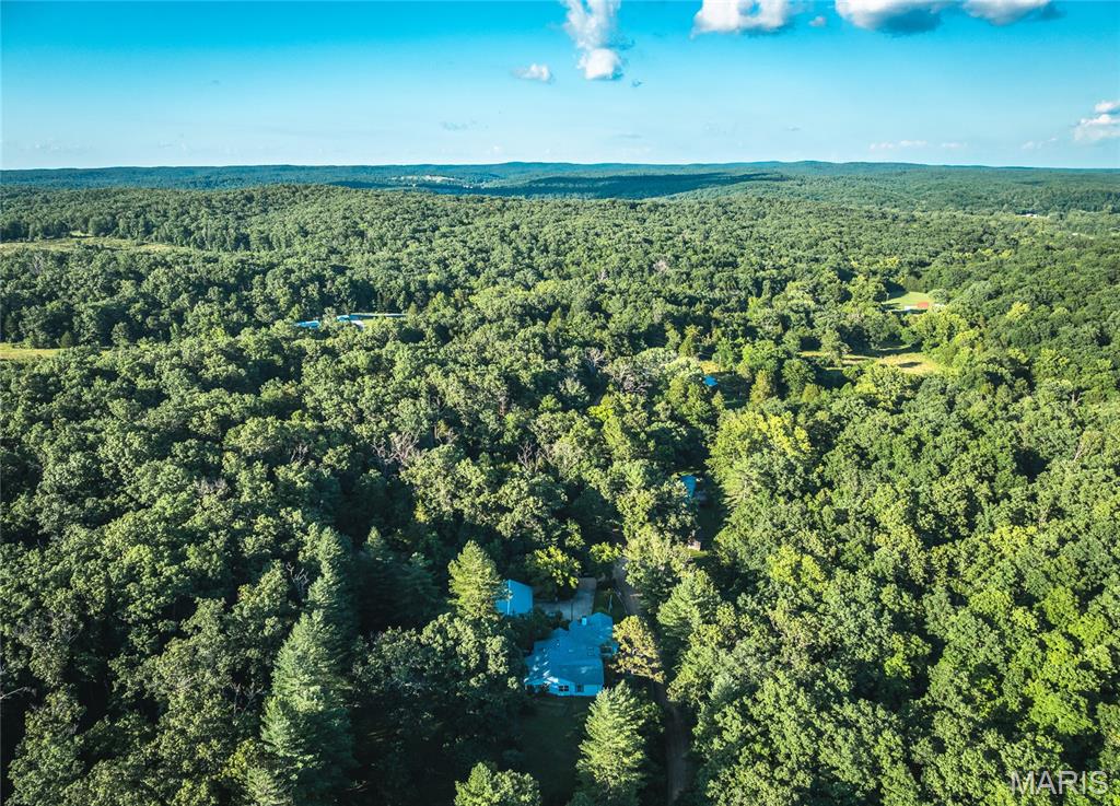 20 Berryman Cut-Off Road Steelville, MO 65565 - Photo 39 of 50