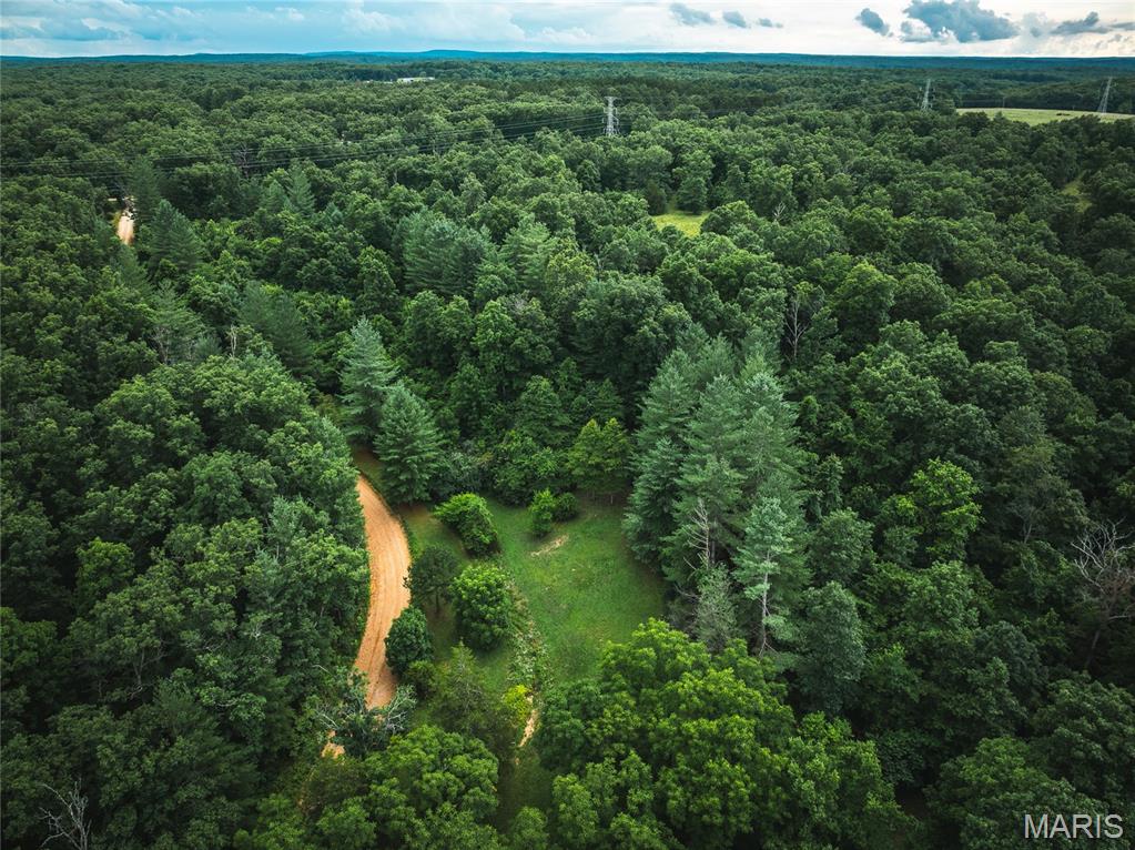 20 Berryman Cut-Off Road Steelville, MO 65565 - Photo 40 of 50