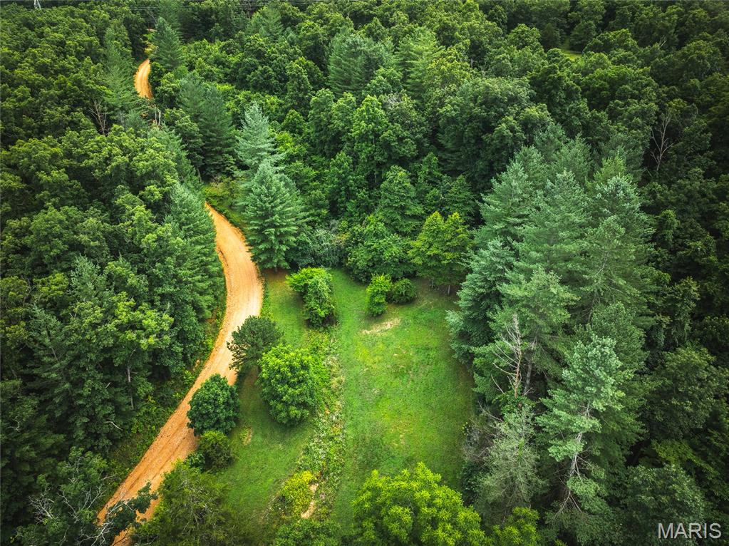 20 Berryman Cut-Off Road Steelville, MO 65565 - Photo 41 of 50