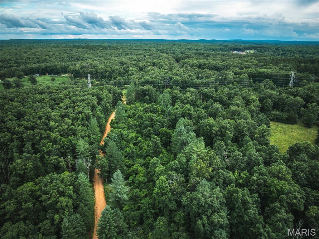 20 Berryman Cut-Off Road Steelville, MO 65565 - Photo 42 of 50