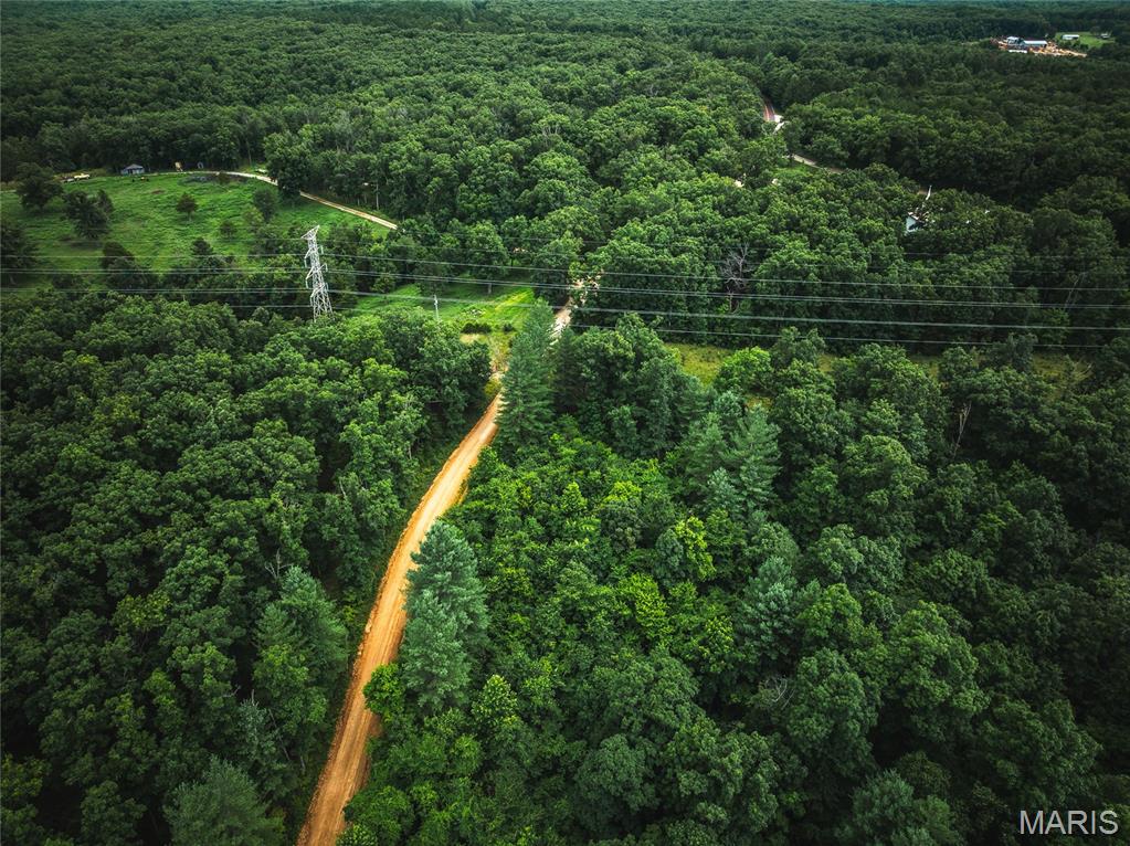 20 Berryman Cut-Off Road Steelville, MO 65565 - Photo 43 of 50