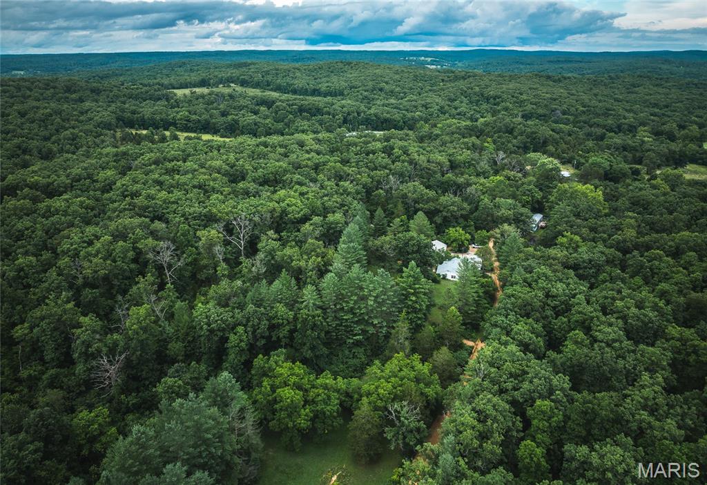 20 Berryman Cut-Off Road Steelville, MO 65565 - Photo 44 of 50