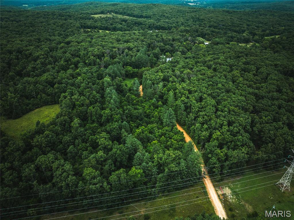 20 Berryman Cut-Off Road Steelville, MO 65565 - Photo 45 of 50