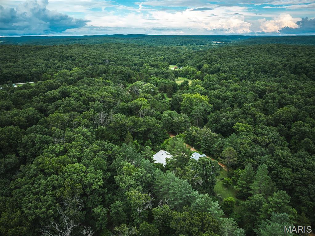 20 Berryman Cut-Off Road Steelville, MO 65565 - Photo 50 of 50