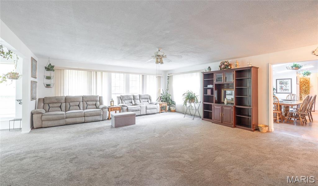 20 Berryman Cut-Off Road Steelville, MO 65565 - Photo 8 of 50