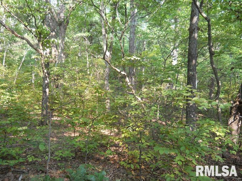 2 Bushwack Road Golconda, IL 62938 - Photo 8 of 8