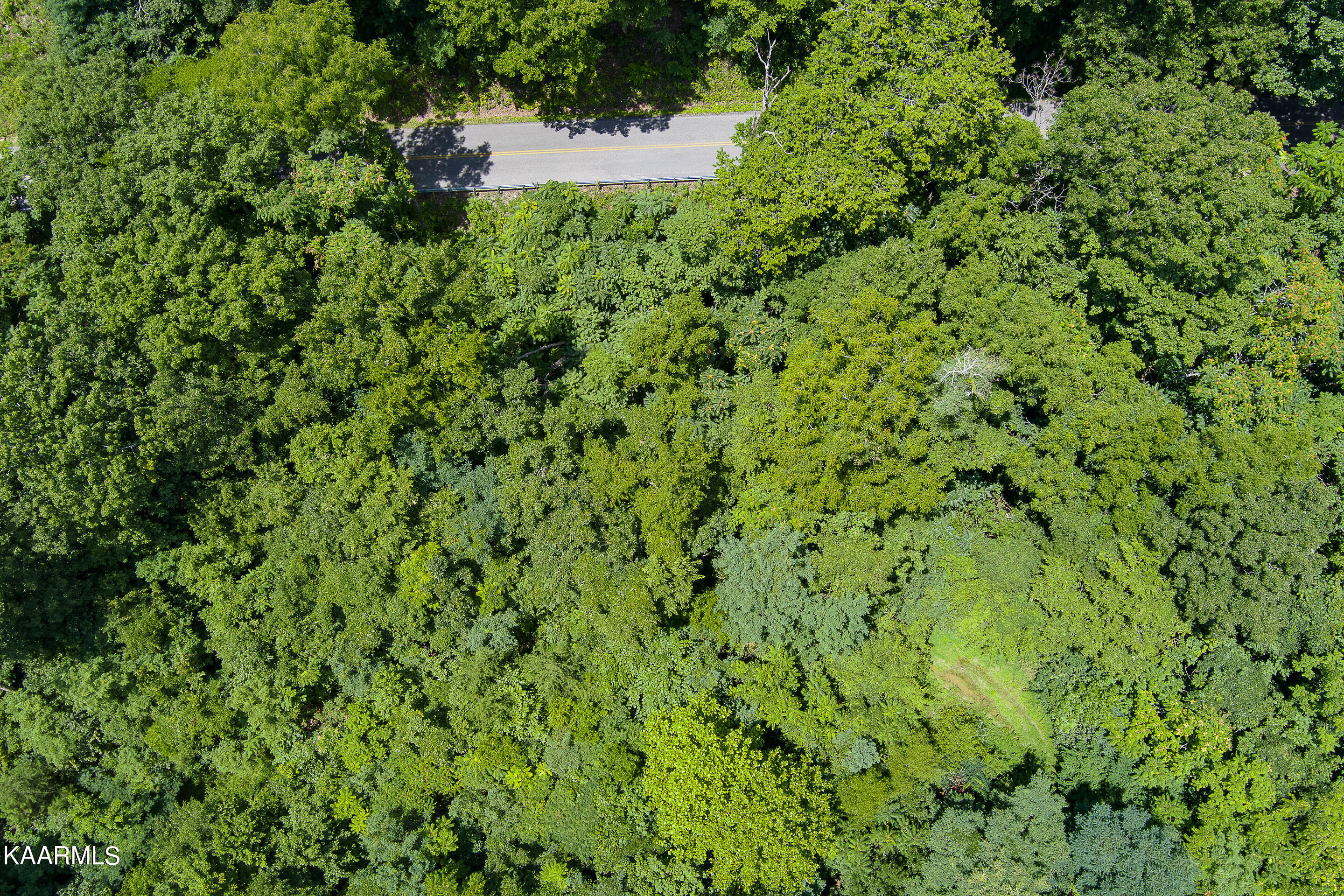 Brockdell Road Pikeville, TN 37367 - Photo 17 of 45 mls-Brockdall Rd Pikeville-045_TNPC