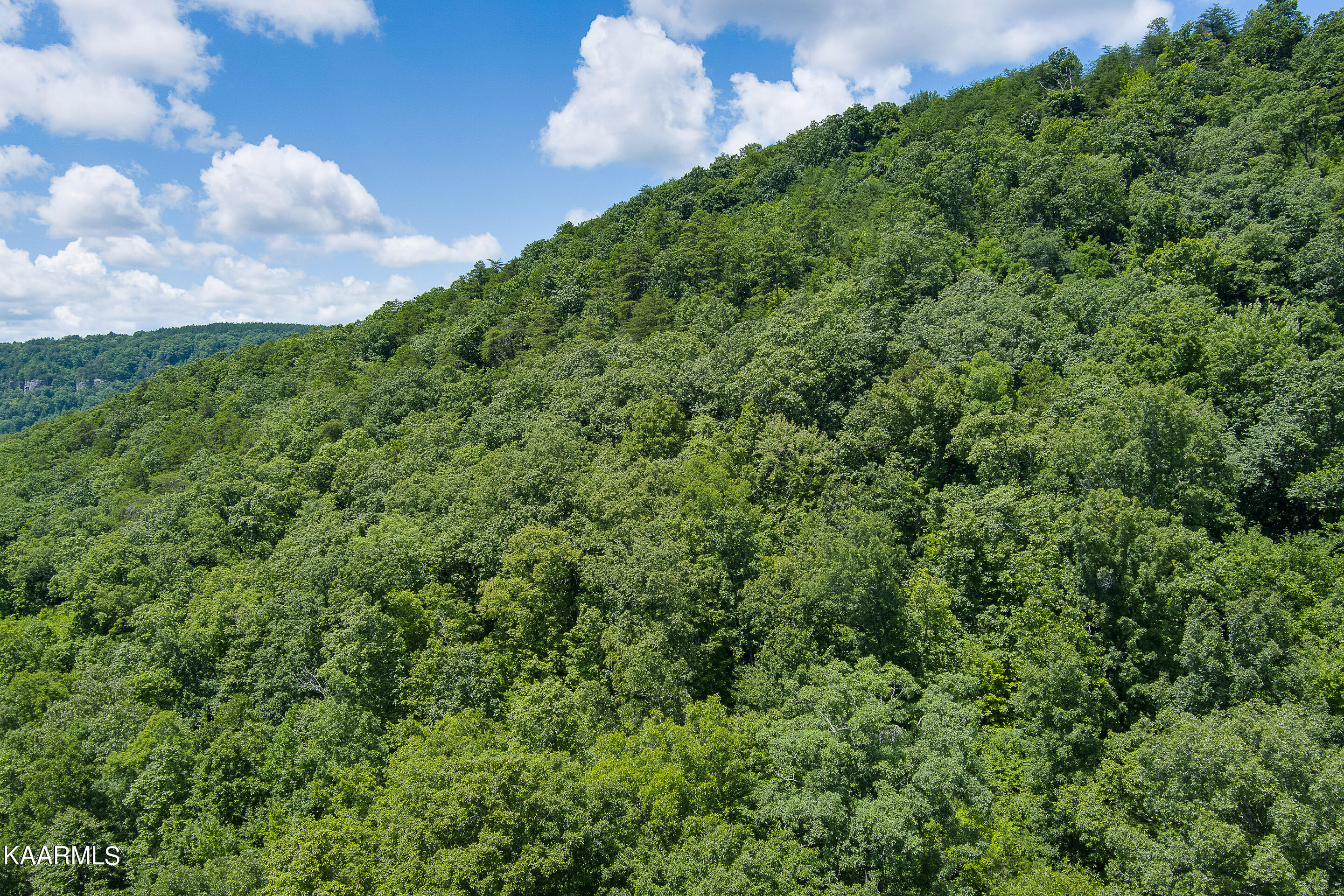 Brockdell Road Pikeville, TN 37367 - Photo 35 of 45 mls-Brockdall Rd Pikeville-022_TNPC