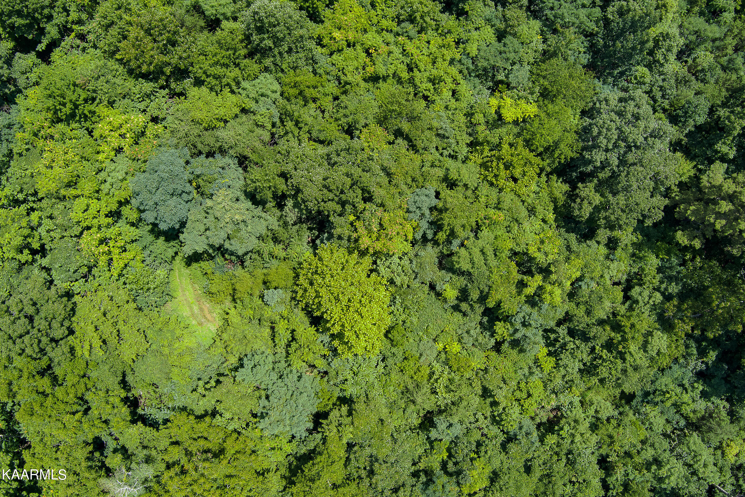 Brockdell Road Pikeville, TN 37367 - Photo 10 of 45 mls-Brockdall Rd Pikeville-044_TNPC