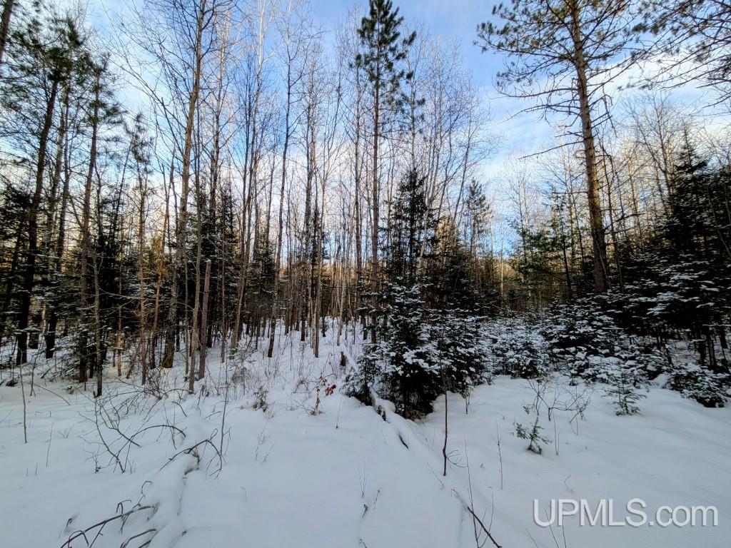 4500 Rd Watersmeet Mi 49969 Road Trout Creek, MI 49967 - Photo 11 of 17