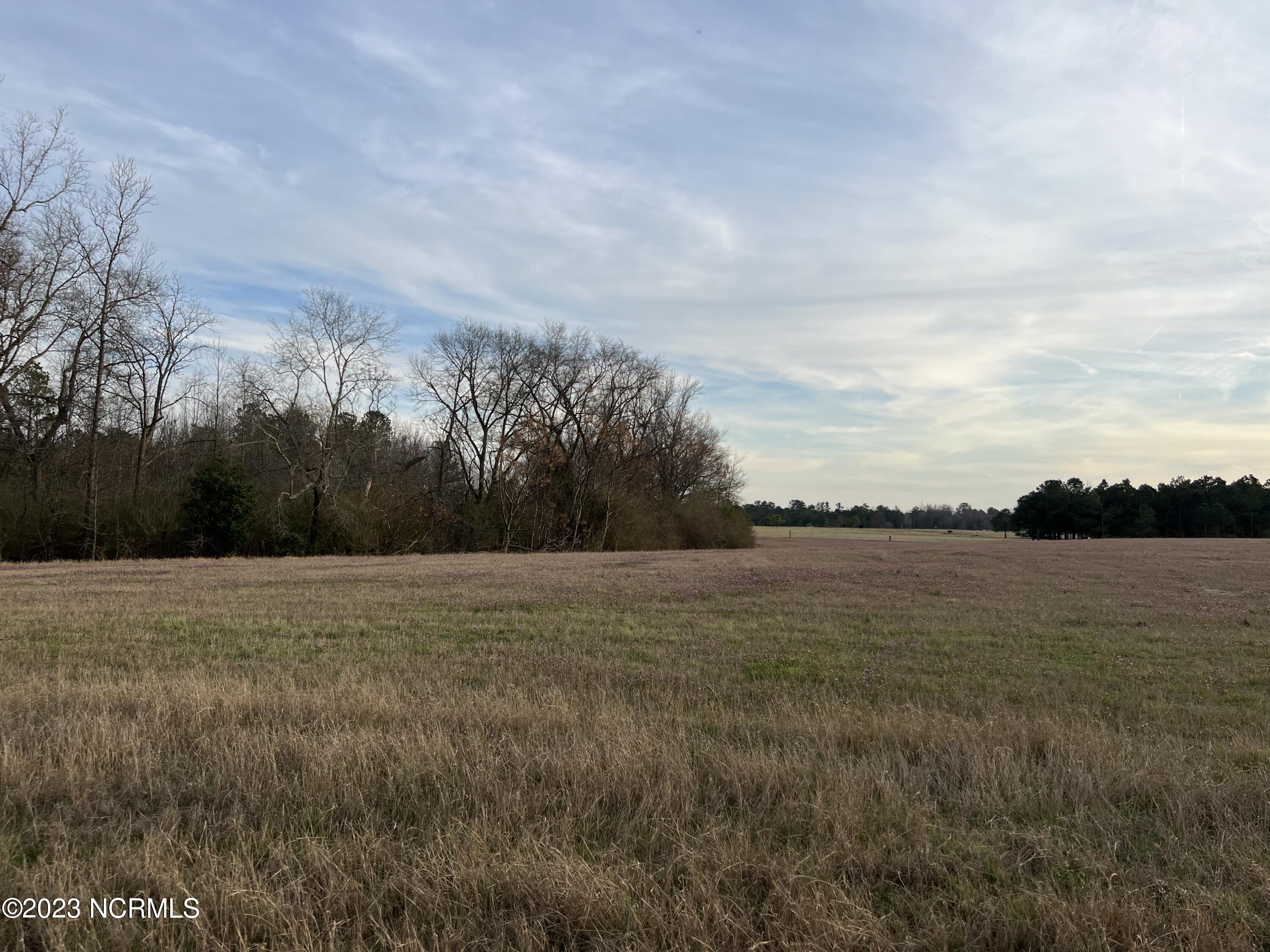 30.8 Modest Road Maxton, NC 28364 - Photo 2 of 16 30F4BC54-D146-4D19-8222-F6E3EF84B57D