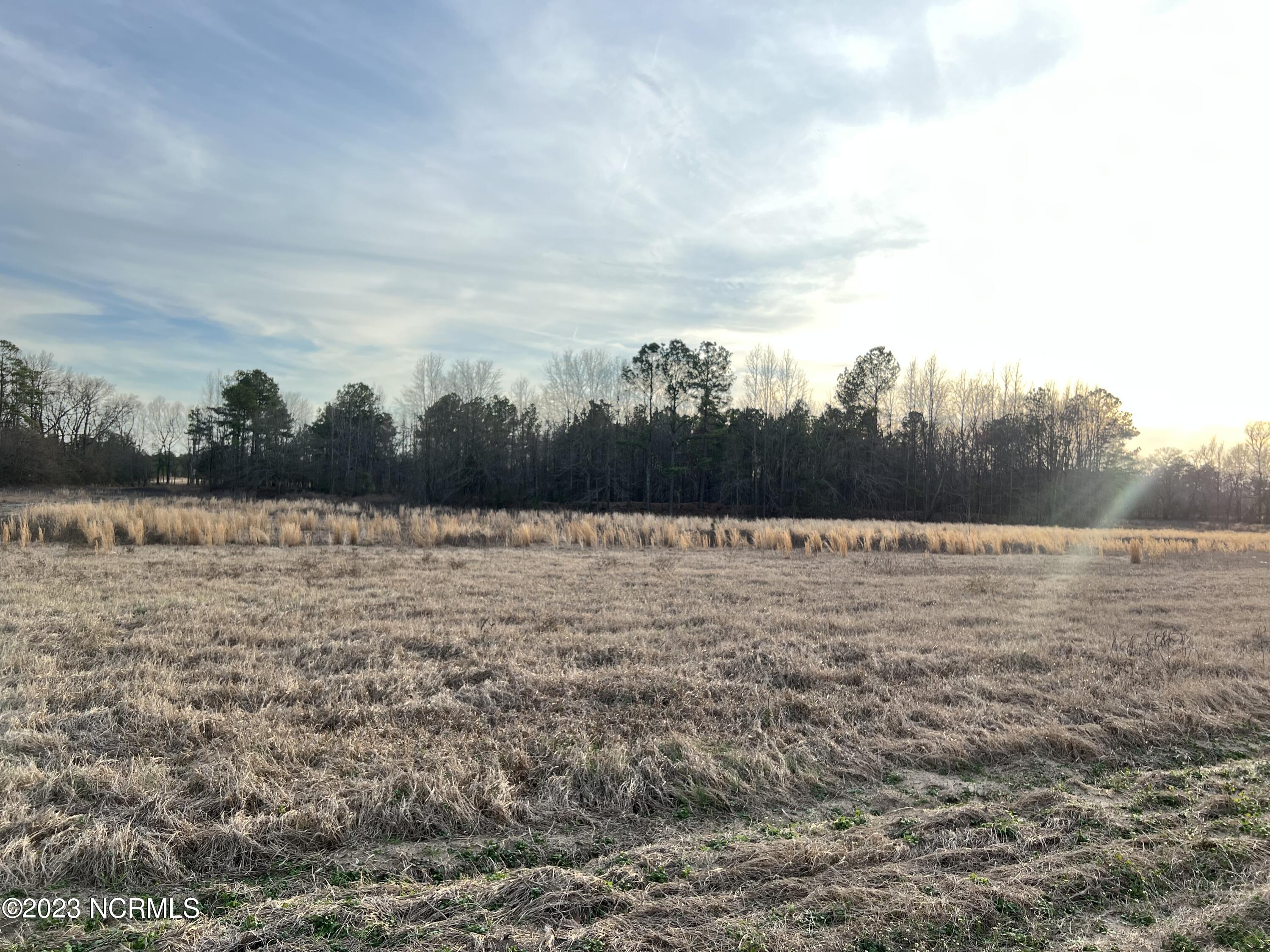 30.8 Modest Road Maxton, NC 28364 - Photo 8 of 16 091D1FF3-EEFC-4456-825F-E3A7D32D10D0
