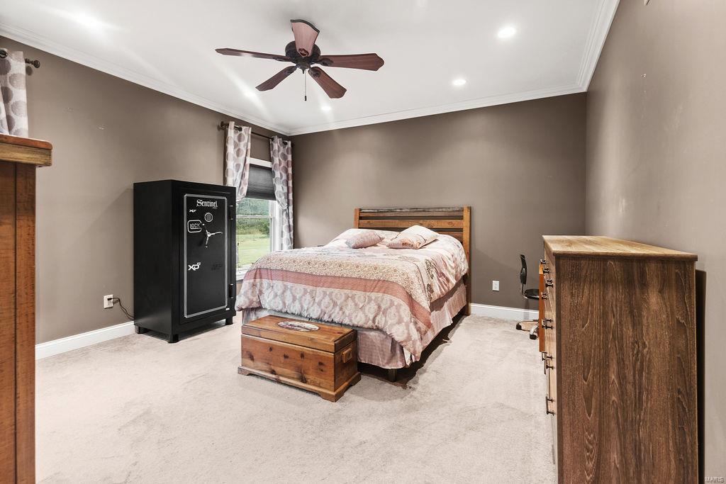 18813 Flower Creek Road Augusta, IL 62311 - Photo 6 of 35