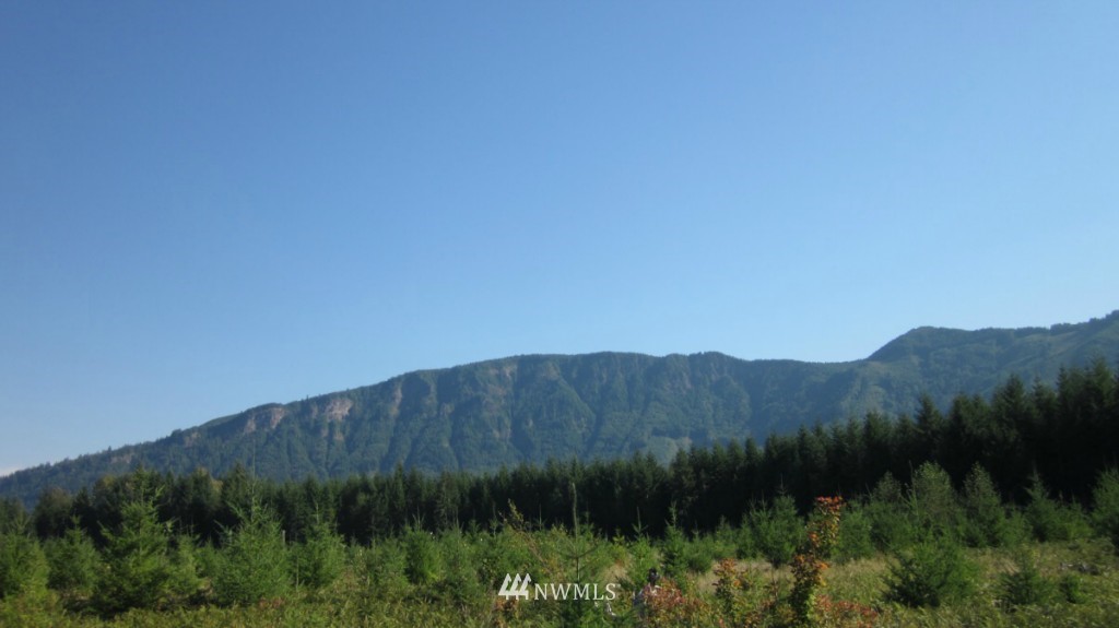 -xxx Peters Road Randle, WA 98377 - Photo 11 of 15 Gallery Image 11