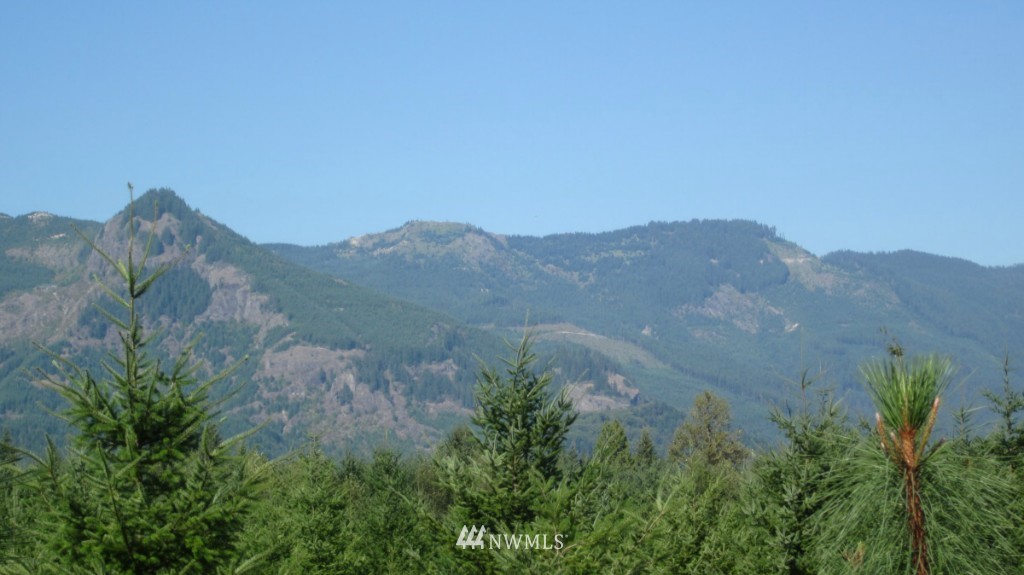 -xxx Peters Road Randle, WA 98377 - Photo 12 of 15 Gallery Image 12