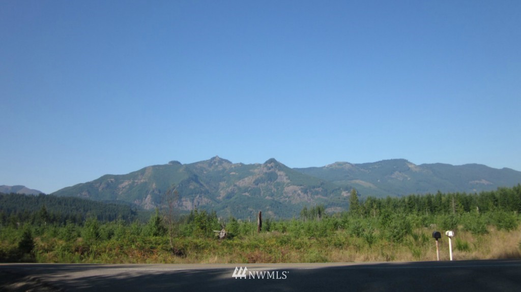 -xxx Peters Road Randle, WA 98377 - Photo 13 of 15 Gallery Image 13