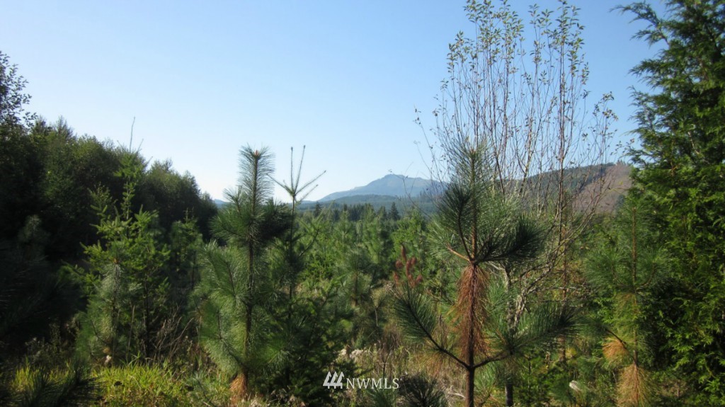 -xxx Peters Road Randle, WA 98377 - Photo 10 of 15 Gallery Image 10