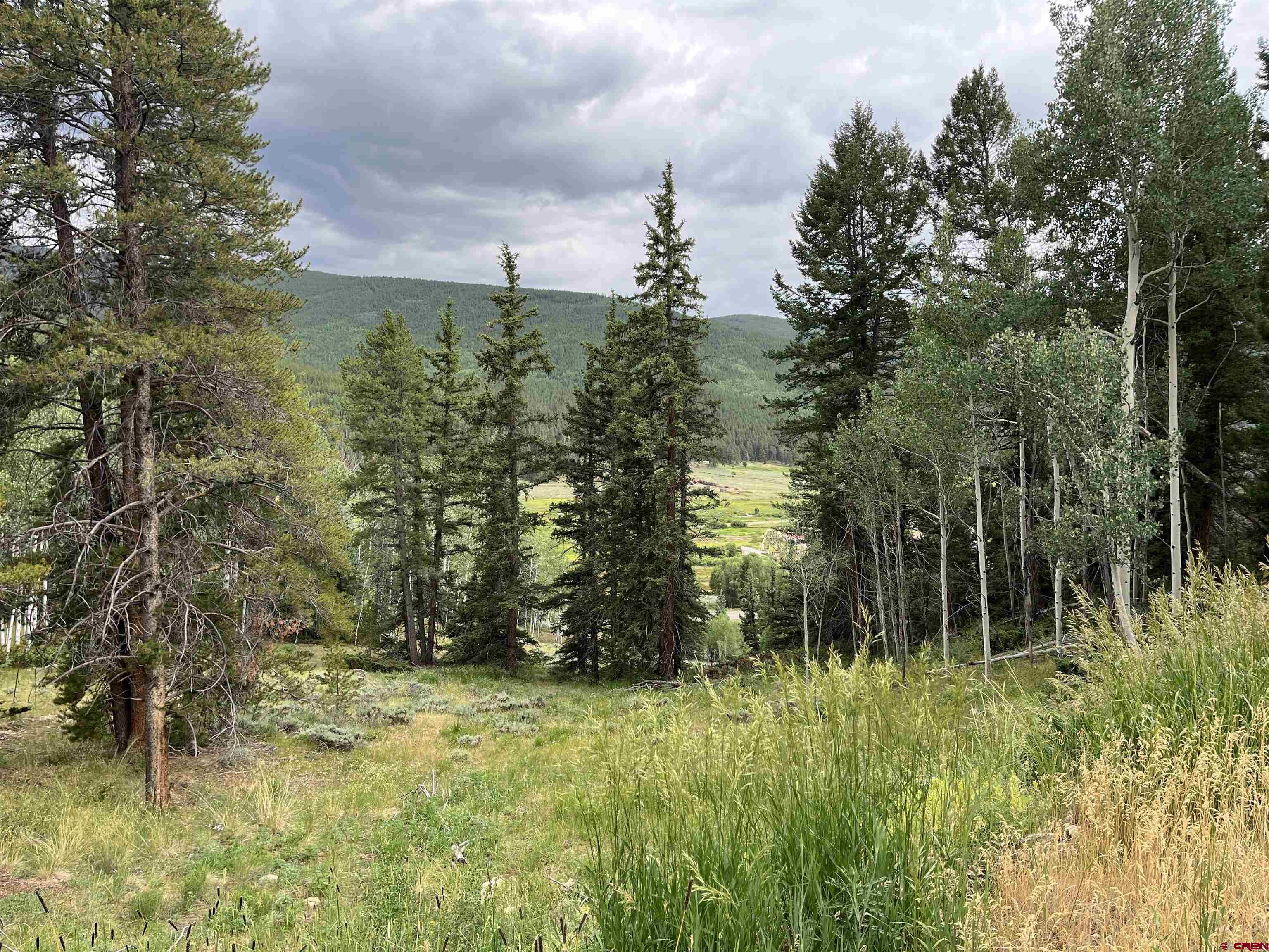127 Chicago Park Road Pitkin, CO 81241 - Photo 21 of 30