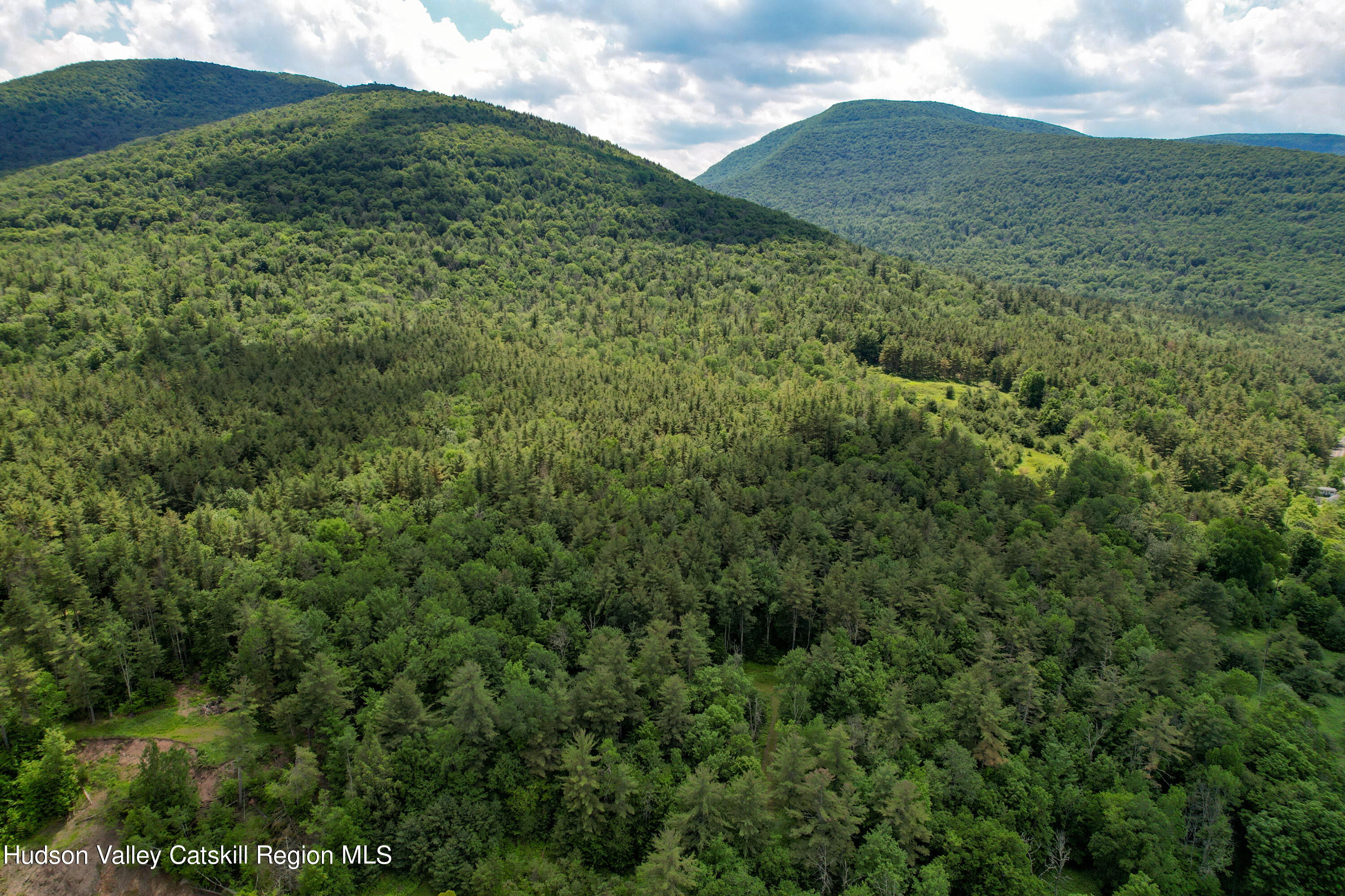 1604 Spruceton Road West Kill, NY 12492 - Photo 1 of 17 a view of a mountain in the distance in a field