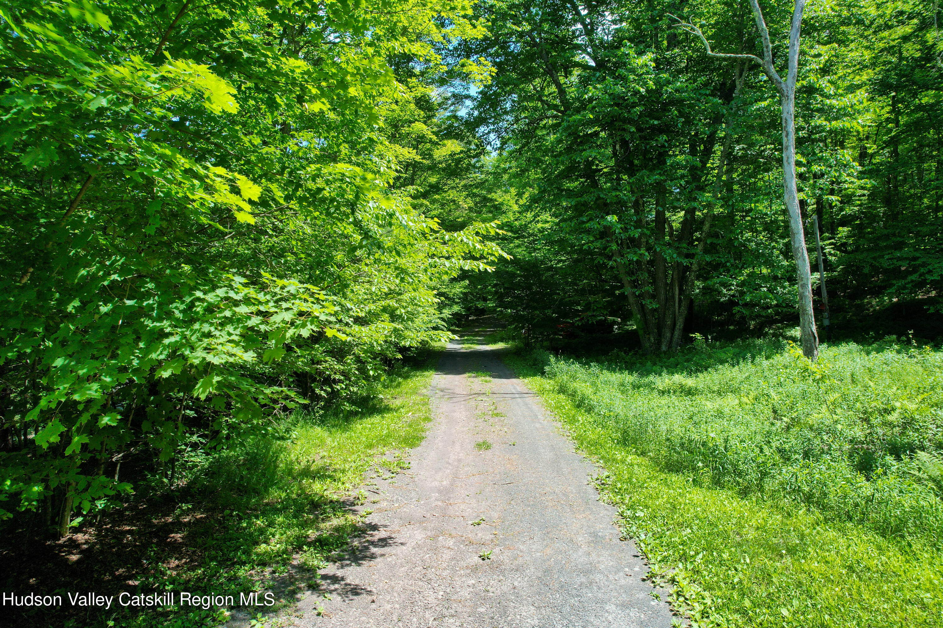 1604 Spruceton Road West Kill, NY 12492 - Photo 15 of 17 a view of path plants and green space