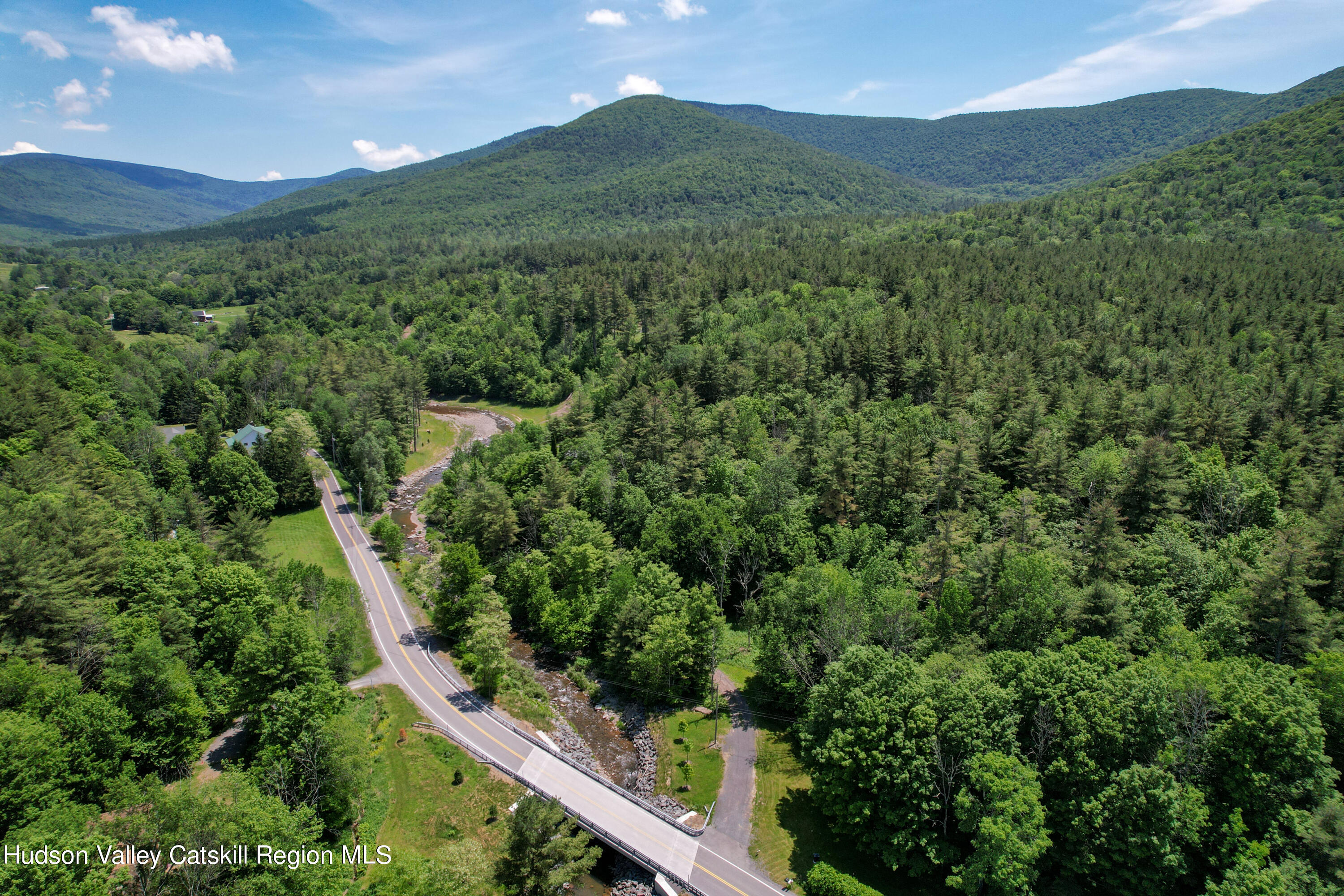 1604 Spruceton Road West Kill, NY 12492 - Photo 17 of 17 a view of a lush green forest with a street